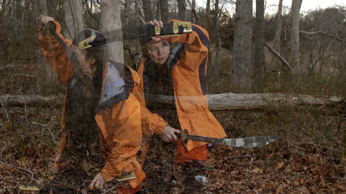 Close Listening: A Conversation with Laurie Anderson ©  New Zealand Festival of the Arts