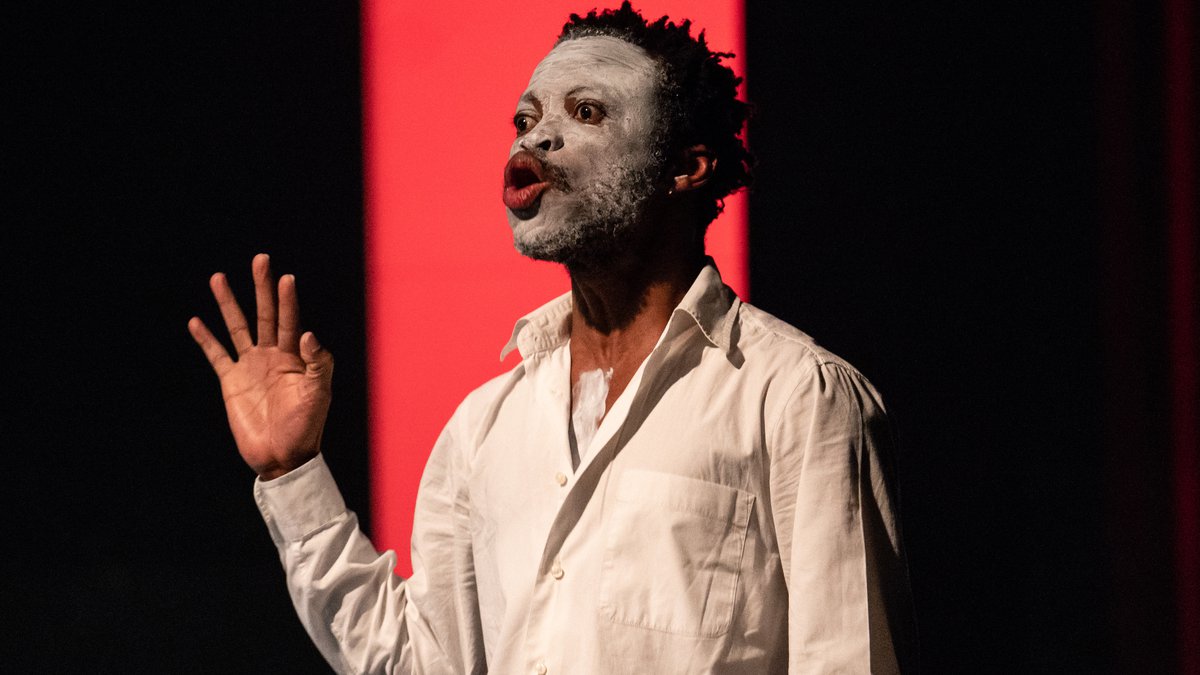 In Search of Dinozord New Zealand Festival of the Arts 2020