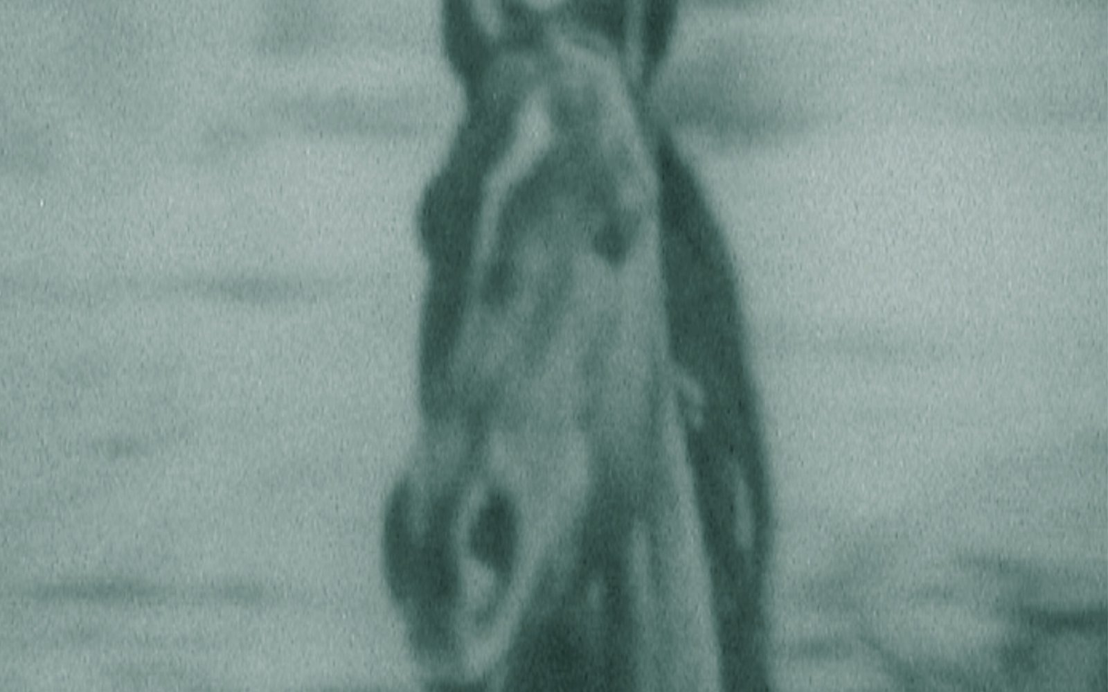 Nathan Pohio_ Into The Open | NZ Festival of the Arts.jpg