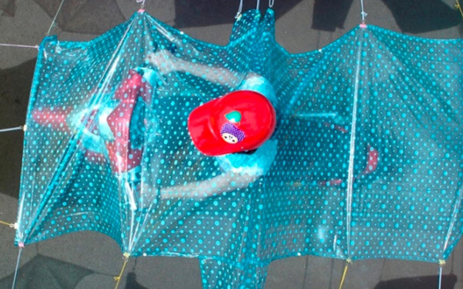 UuDam Tran Nguyen_ Into The Open | NZ Festival of the Arts.jpg